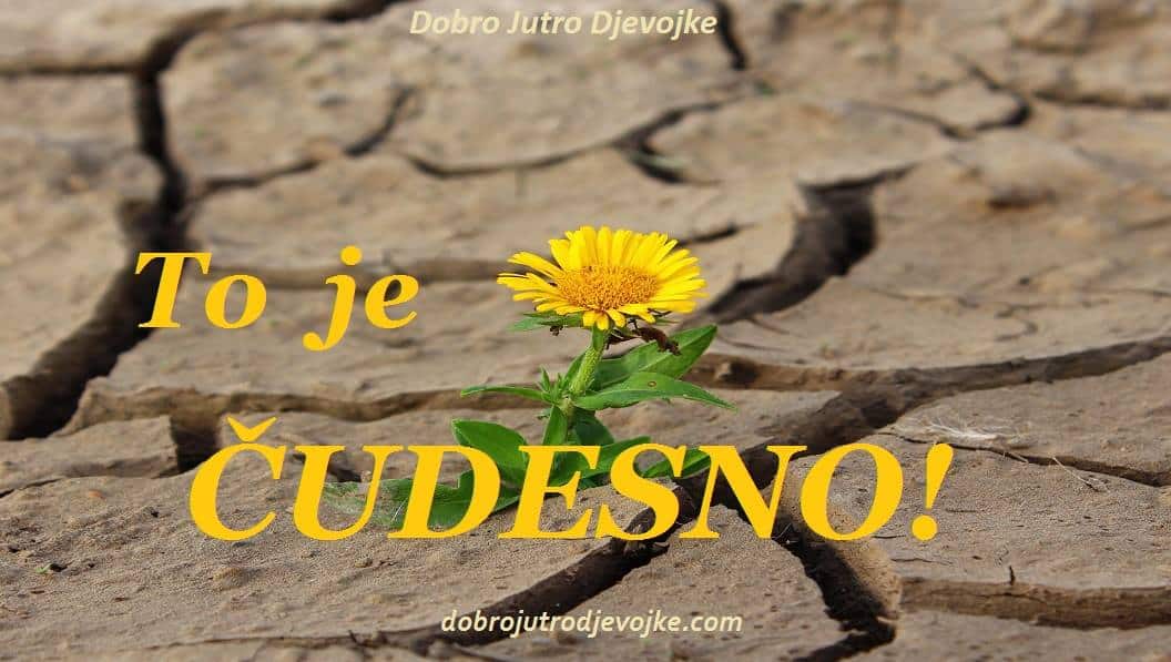 dobro jutro djevojke