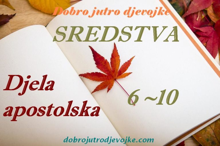 DJD Sredstva {Djela 6-10}