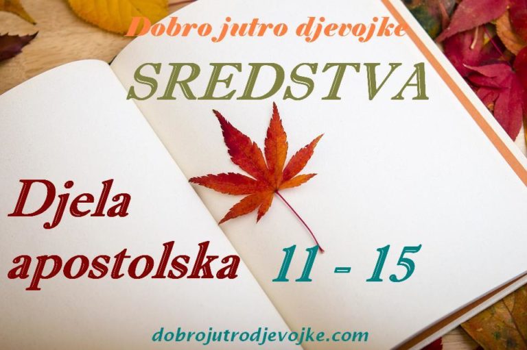 DJD Sredstva {Djela 11 -15}