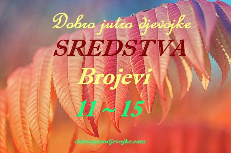 Dobro jutro djevojke – SREDSTVA – Brojevi 11-15