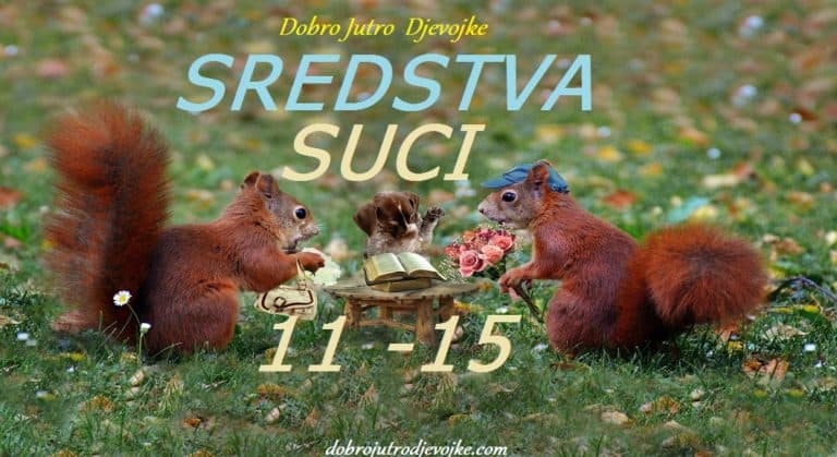 Dobro Jutro Djevojke – Sredstva – {Suci 11-15}