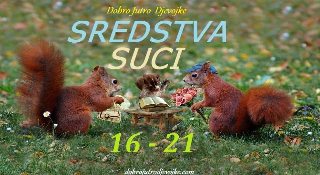 slika-sredstva-16-21