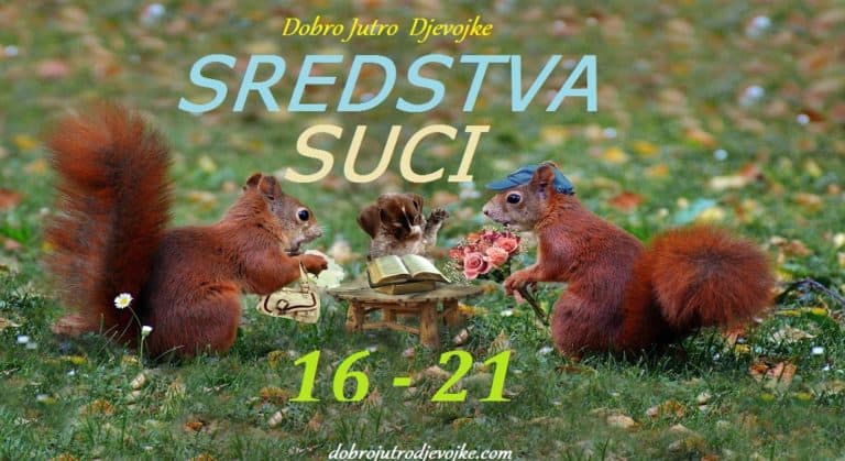 Dobro Jutro Djevojke ~ Sredstva {Suci 16 – 21}