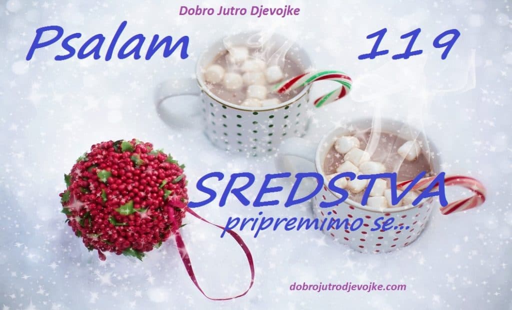 slika-za-blog-sredstva-priprema-psalam-119