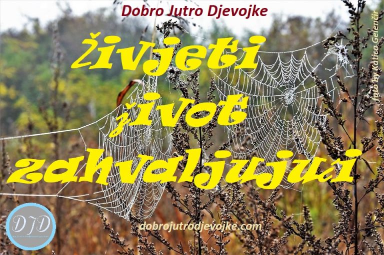 Živjeti život zahvaljujući {Učiniti svoj dom utočištem: 1. tjedan}